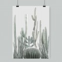 Poster Cactarium 1 - cactus, warm green and light grey background