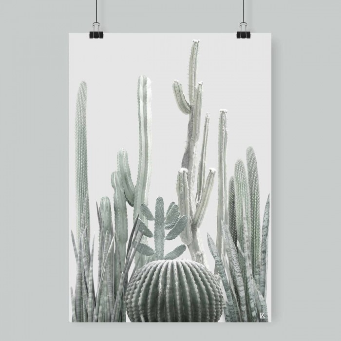 Lámina Cactarium 1 - poster para pared colgar varios cactus fotografiados verdes claros sobre fondo gris muy claro