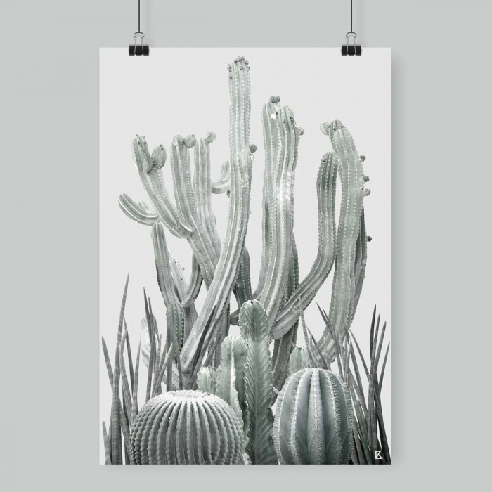 Lámina Cactarium 2 - poster para pared colgar varios cactus fotografiados verdes claros sobre fondo gris muy claro