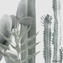 Poster Cactarium 3 - cactus, warm green and light grey background