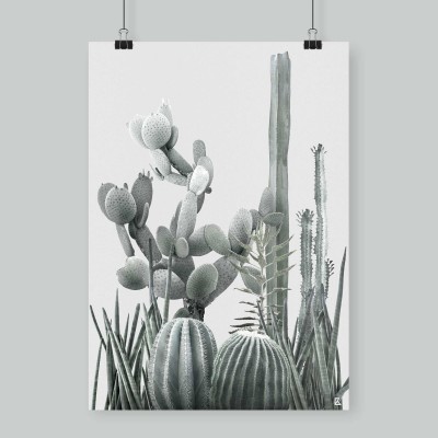 Poster Cactarium 3 - cactus, warm green and light grey background