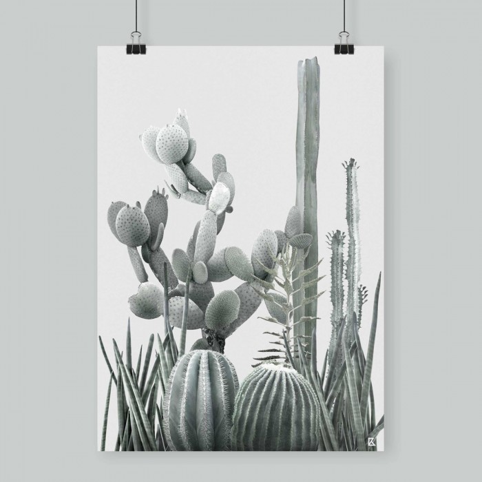 Lámina Cactarium 3 - poster para pared colgar varios cactus fotografiados verdes claros sobre fondo gris muy claro