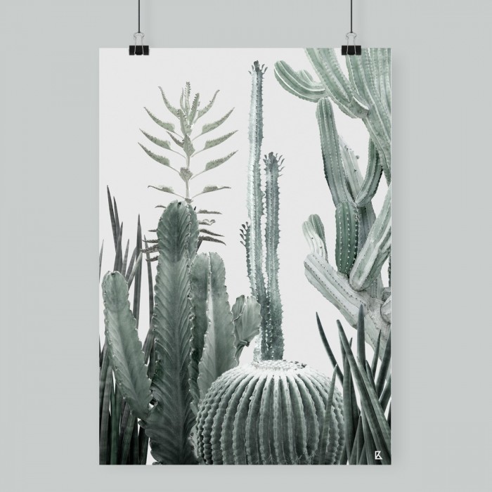 Lámina Cactarium 4  - poster para pared colgar varios cactus fotografiados verdes claros sobre fondo gris muy claro