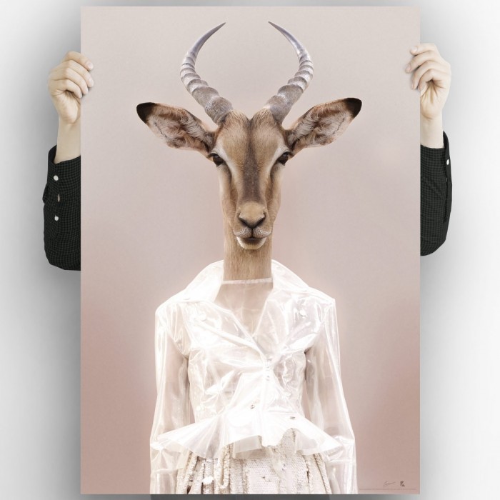 Modelo Gacela Impresión en póster fotográfico para decorar tus espacios con un espectacular diseño de una gacela fashion