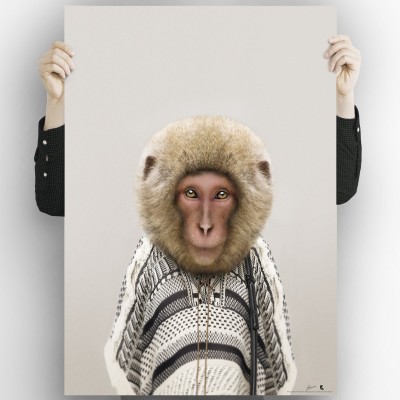 Monkey Model-albino-washable-poster-for-exterior-interior-dog-decoration-fun-original-modern-style-lokoloko