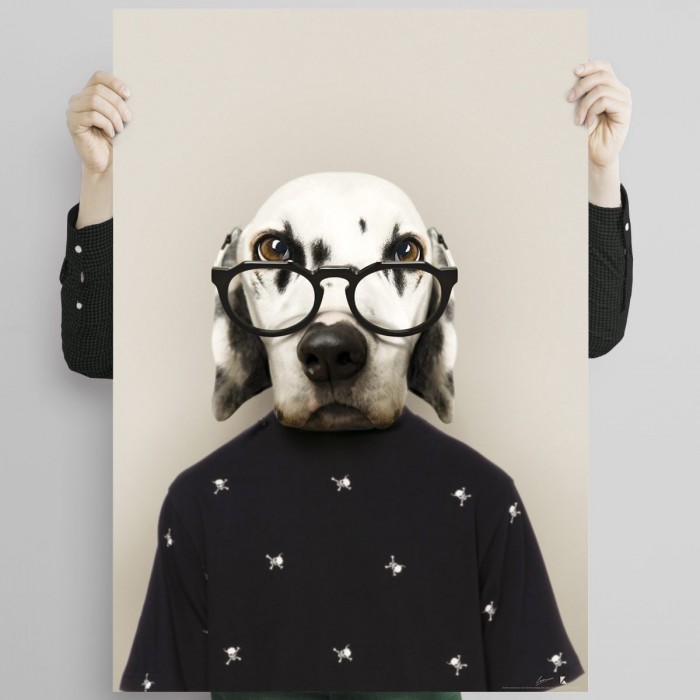 apetito cáncer preposición Póster de perro, modelo Dálmata. Creado a modo de retrato de animal  humanizado.