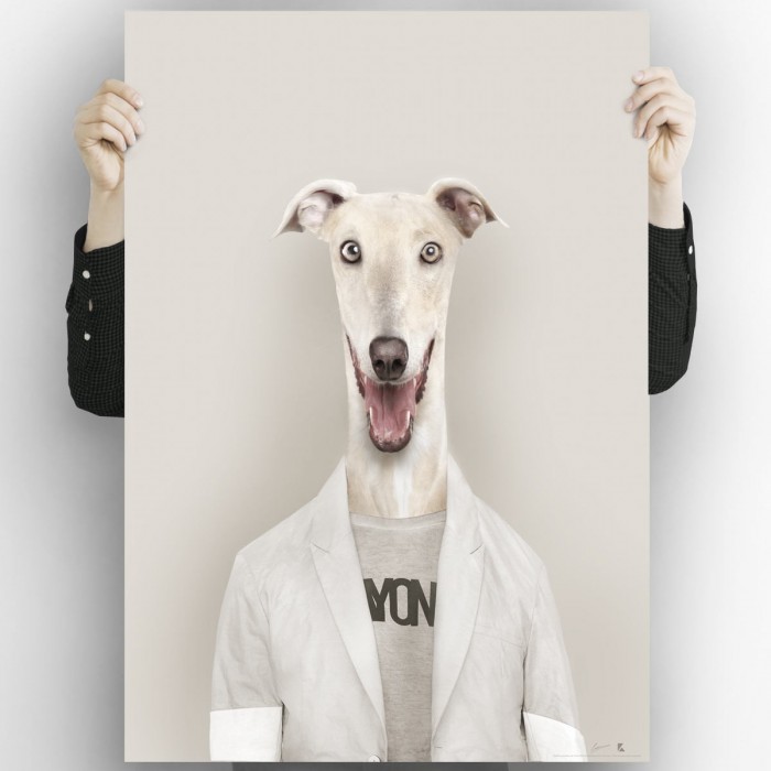 Greyhound model-poster-washable-high-quality-for-interior-exterior-decoration-modern-original-lokoloko