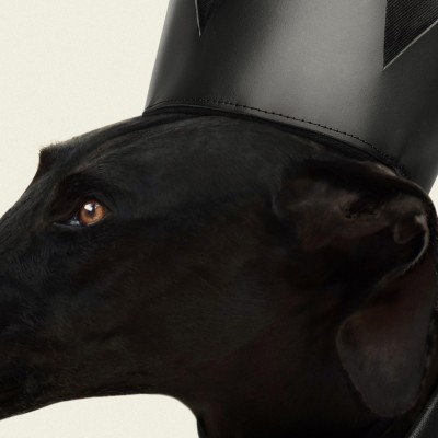 Greyhound Black Rock Light-poster-washable-eco-for-interior-exterior-style-minimalist-modern-dog-greyhound-lokoloko
