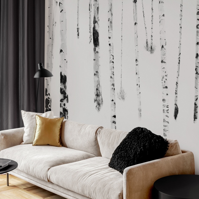 Birch Mural. Ecological PVC-free wallpaper for smooth living room walls, birch forest in black and white. Lokoloko