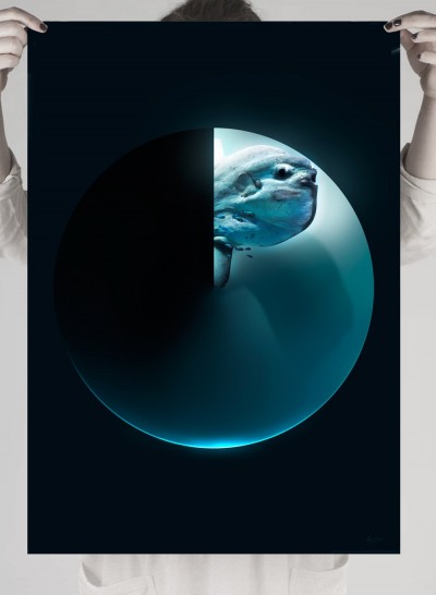 Poster of fish in a sphere